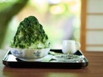 “嵐山の緑”着想の抹茶かき氷、餅＆餡子入り - 翠嵐 ラグジュアリーコレクションホテル 京都から