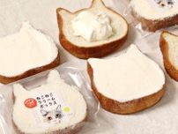 「ねこねこクリームボックス」まろやか練乳クリーム塗った“厚切り猫型パン”、食パンはリニューアル