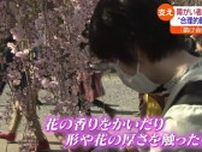 【花の匂いをかいで、触って…】花見山で視覚に障がいがある人対象の花見ツアー・福島