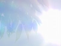 【また真夏の暑さ…伊達市梁川で正午過ぎに30.4度を観測】現在も上昇中・福島県