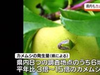 【福島県でもカメムシ大発生！平年の3倍〜15倍の所も】果樹農家などに注意呼びかけ