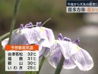 【喜多方市の御殿場公園で花ショウブ見ごろに】真夏並みの暑さと天気の急変に注意・福島県