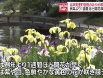 「同じ紫でもいっぱいある…」会津美里町であやめ祭り　例年より1週間ほど開花早い　7月5日まで開催【福島県】