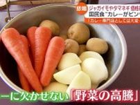 国民食！カレーがピンチ…ジャガイモや玉ねぎが高騰・福島県