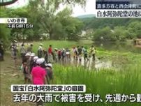 「イノシシやカメの食害も…」白水阿弥陀堂で小学生がハスの苗を定植・福島県