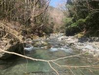 【2泊3日】解禁初期のヤマメをドライフライで追う釣り旅をする。「熊本県川辺川五家荘」