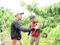 新規就農者支援事業３年目　「のれん分け方式」着実に担い手育てる　福島県のＪＡふくしま未来