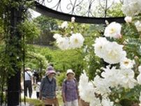 英国庭園に香るバラ　本宮でフラワーフェス