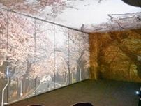 病室で桜並木、自宅を再現　福島医大教授ら簡易映像投影開発