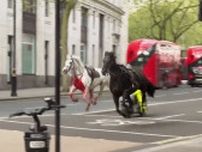 ロンドン市街地で馬が暴走　少なくとも4人けが