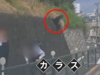 【危険】カメラが捉えた凶暴化したカラスが2人組や自転車の女性を襲う瞬間…ヒナを育てる時期には注意　東京・国分寺市