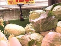 野菜を買うなら今！キャベツ1玉128円キュウリ6本158円に！　野菜価格安定も大雨からの猛暑に注意