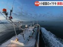 “日本一うまかイサキ“を全国へ　漁師になるため小値賀島に帰郷した男たちの伝統のイサキ一本釣り漁に密着