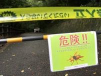 遊歩道で男女11人がスズメバチに刺される　9人救急搬送…木の空洞から「キイロスズメバチ」か　福岡・北九州市
