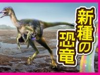 【奇跡の発見】趣味で化石発掘　見つけた恐竜の化石「新種」だった
