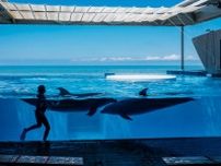 新潟県「うみがたり」は1934年開館の老舗。青い日本海をバックにイルカが宙を飛ぶ「日本海テラス」などオープンエアの水槽が魅力