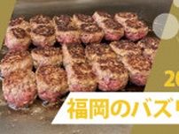 「福岡のバズリ飯3選2023冬」ランチ・ディナー・カフェ今激アツのグルメ