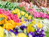 世界最高峰のガーデニング大会を参考に2026年3月、『Fukuoka Flower Show 2026』の実施に向けてチャレンジ