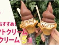 福岡「食べ歩きにおすすめソフトクリーム&アイスクリーム5選」2024版