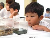 タガメやナミゲンゴロウ、希少な水生昆虫間近で観察　岐阜市科学館の特別イベント