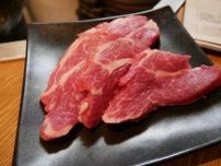 おひとりさまも安心！札幌・すすきので味わってほしい生羊肉の絶品ジンギスカン