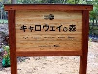 鳥取県に誕生した森林環境保全プロジェクト｢キャロウェイの森｣