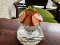 【日本純喫茶紀行】芸術的なフルーツパフェを極上の空間で味わえる純喫茶 / 静岡県静岡市の「喫茶ポプラ」