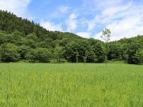 岐阜県飛騨市に行ったら体験したいこと。薬草に触れ、池ケ原湿原や種蔵集落を歩く