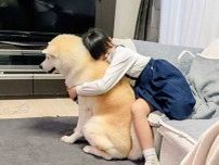 秋田犬と小学生の写真にキュン！　帰宅後の行動に「絆を感じる」