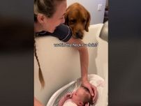 赤ちゃんをお風呂に入れていると？　犬のリアクションに「爆笑した！」