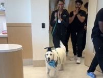 動物病院で行われた『犬の卒業式』　理由に涙する人が続出「強い子だ」