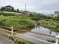 【夏休み穴場スポット】町田市の「めだか池」で自然体験！メダカを捕まえよう