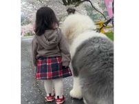 「かわいすぎて癒やしの極み」大型犬と女の子がお花見　駆け寄り並ぶ姿にほっこり