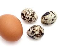 ウズラの卵は鶏卵と何が違う？　柄がある理由とは　栄養士が解説