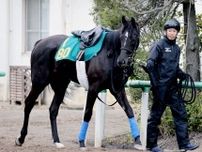 【ＰＯＧ】良血馬のショウナンサムデイは北海道でのデビューを目指す　母はジャパンＣの勝ち馬