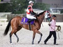 【帝王賞】唯一の牝馬グランブリッジが４着に健闘　坂井瑠星騎手「強い馬を相手に頑張ってくれた」