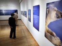 自然の営み伝える　故星野道夫さんの写真展　道立帯広美術館で開催