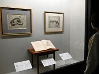 藤田嗣治の銅版画も展示　小樽・似鳥美術館で「ちっちゃこい展」