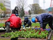 札幌・大通公園、春色の化粧に　花壇整備始まる