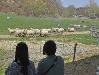 恵庭・えこりん村、３施設営業始まる　楽しく牧羊犬ショー　今季終了後リニューアル
