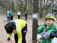かつてはサクラ5千本、最盛期の姿復活へ　小樽の公園で住民有志が植樹