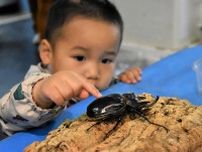 珍しい昆虫に子ども夢中　遠軽の丸瀬布生態館　５日までイベント