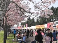 桜まつり6.7万人来場　新ひだか　開催 1日少なく8千人減