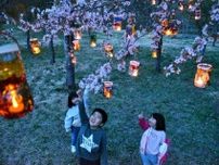 夜桜照らす児童のランタン　秩父別で催し　ペットボトル使い７０個手作り
