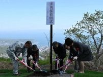 「天狗桜」の命継ぐ　クローン苗木６本植樹　小樽