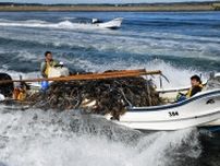 釧路管内3漁協サオマエコンブ漁中止　関係者「残念」「仕方ない」　成コンブ漁は水温上昇不安