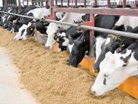十勝のビート、価値向上へ活用探る　牛の飼料やタンパク質生成　国減産方針、輪作体系に危機