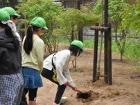 札幌・幌西小　開校100周年前にポプラを植樹