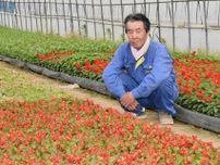 マチの花壇彩る花苗作り３０年　倶知安の農家・中沢さん　年３万株を提供