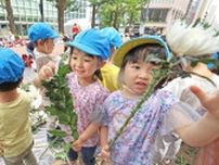 色とりどりの花びらでカーペット　札幌で28日からイベント　園児ら準備